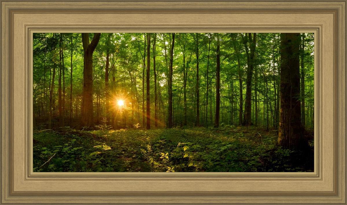 Sacred Morning