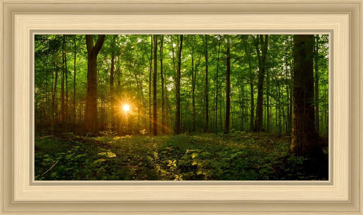 Sacred Morning