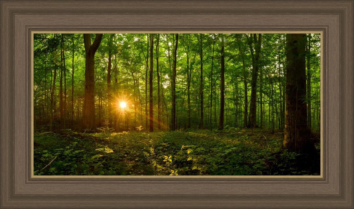 Sacred Morning