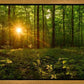 Sacred Morning
