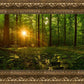 Sacred Morning