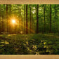 Sacred Morning