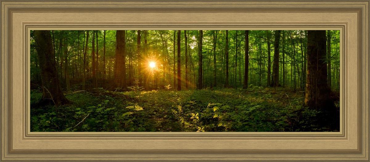 Sacred Morning