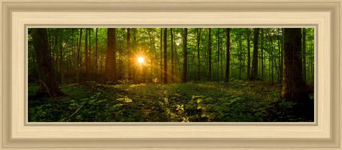 Sacred Morning