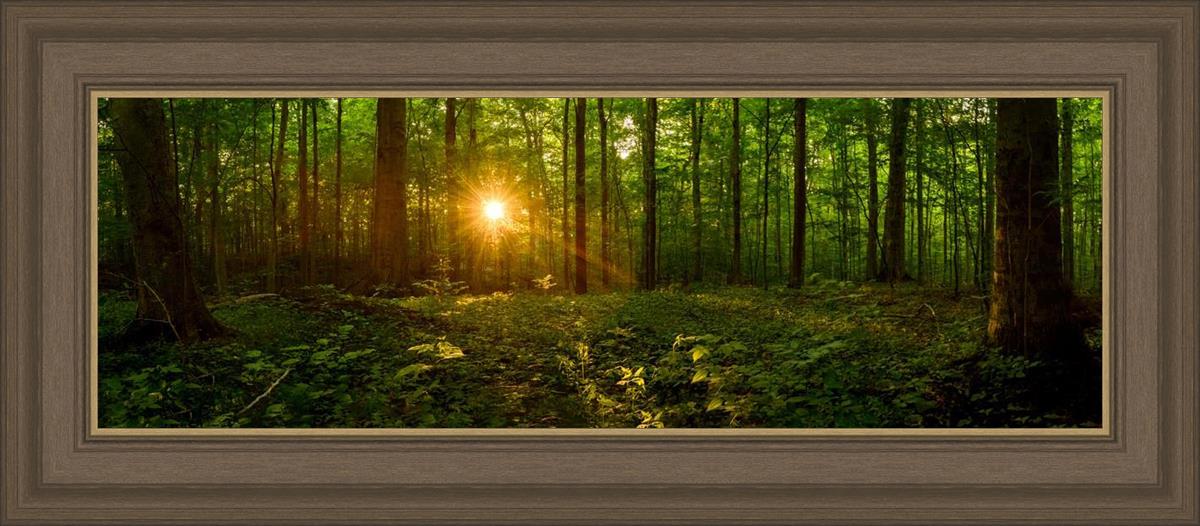 Sacred Morning