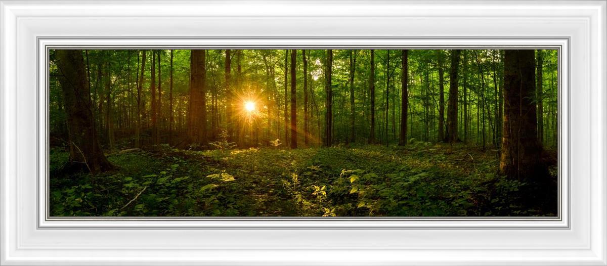 Sacred Morning