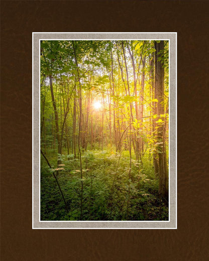 Sweet Hour of Prayer