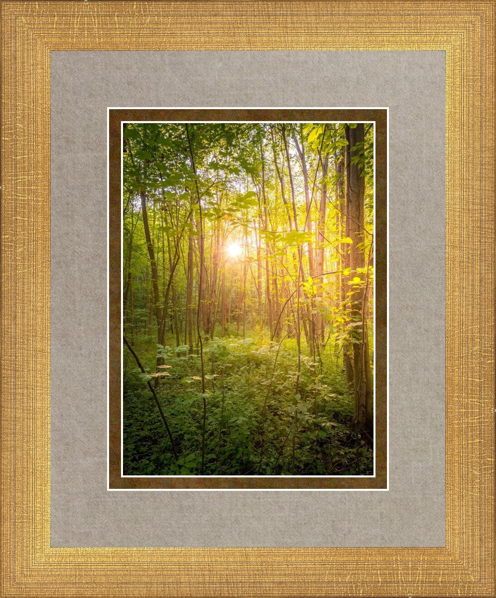 Sweet Hour of Prayer