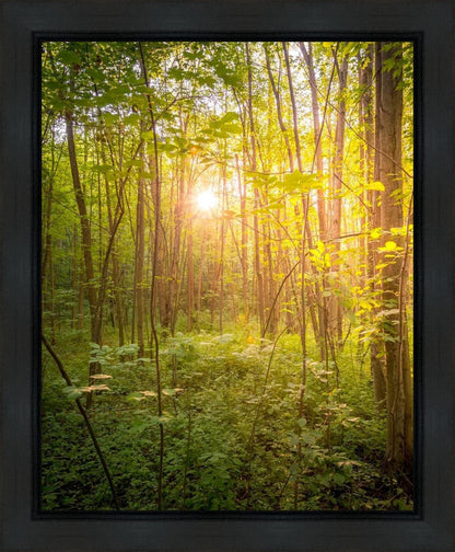 Sweet Hour of Prayer