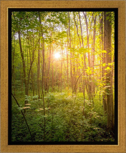 Sweet Hour of Prayer