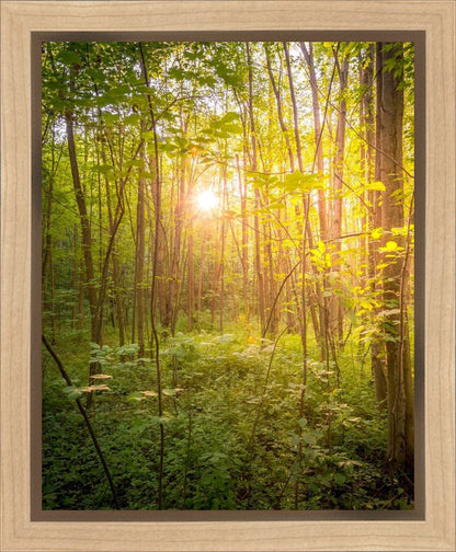 Sweet Hour of Prayer