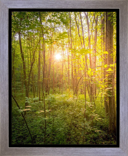 Sweet Hour of Prayer