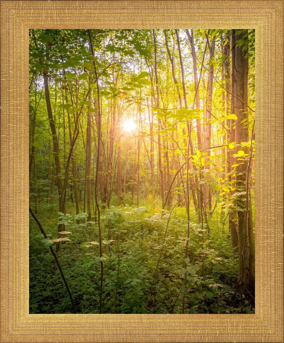 Sweet Hour of Prayer