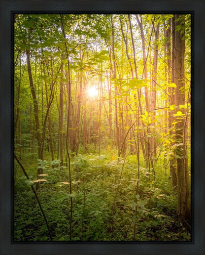 Sweet Hour of Prayer