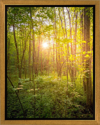 Sweet Hour of Prayer