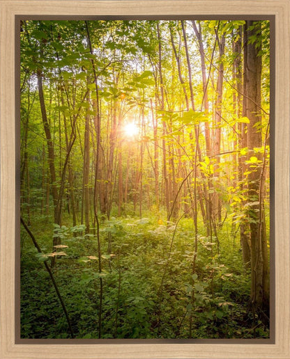 Sweet Hour of Prayer