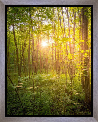 Sweet Hour of Prayer