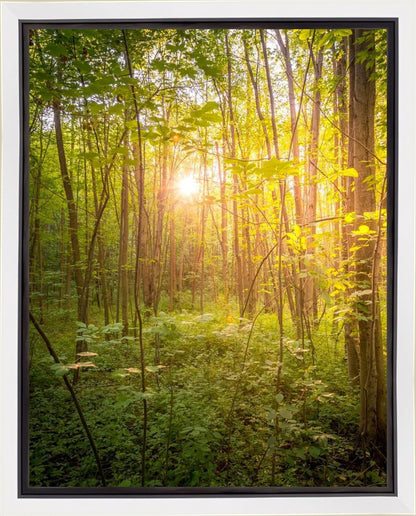 Sweet Hour of Prayer