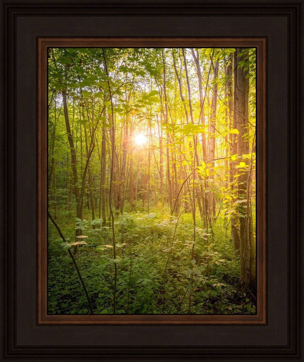 Sweet Hour of Prayer