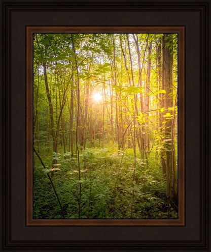 Sweet Hour of Prayer