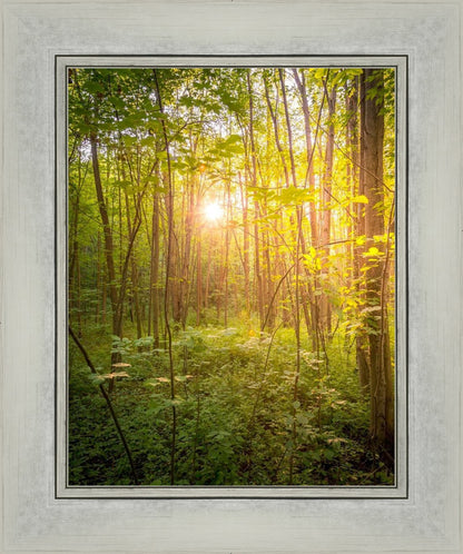 Sweet Hour of Prayer