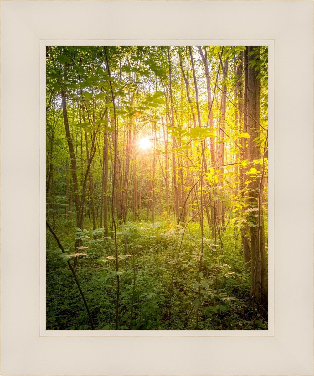 Sweet Hour of Prayer