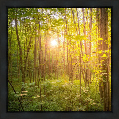 Sweet Hour of Prayer