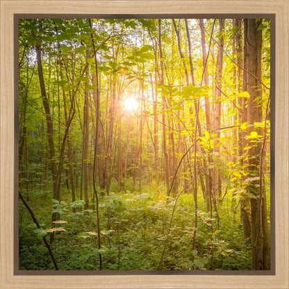 Sweet Hour of Prayer