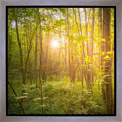 Sweet Hour of Prayer