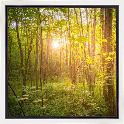 Sweet Hour of Prayer