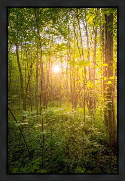 Sweet Hour of Prayer