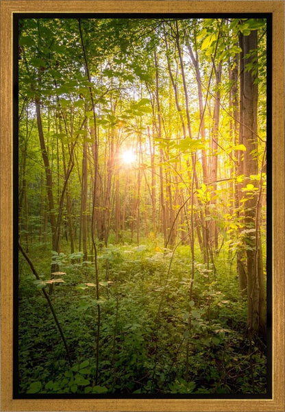 Sweet Hour of Prayer