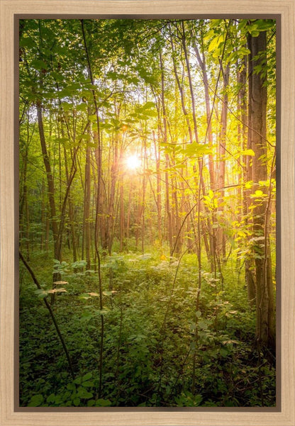 Sweet Hour of Prayer