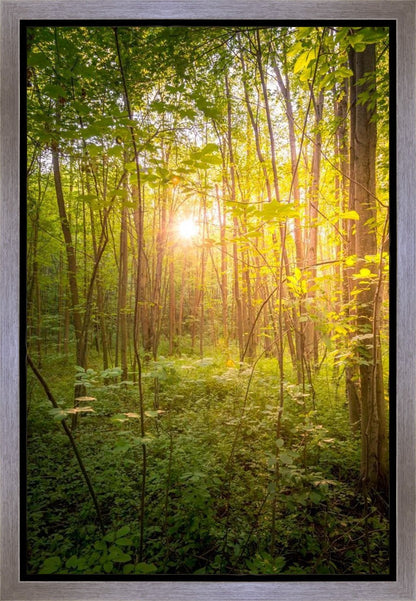 Sweet Hour of Prayer