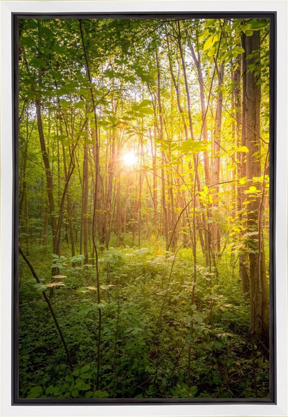 Sweet Hour of Prayer