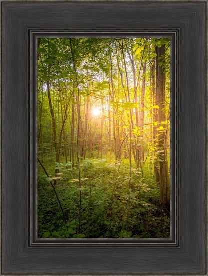 Sweet Hour of Prayer