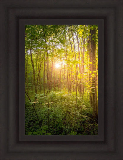 Sweet Hour of Prayer