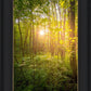 Sweet Hour of Prayer