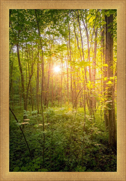 Sweet Hour of Prayer