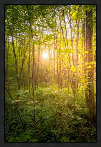 Sweet Hour of Prayer