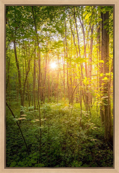 Sweet Hour of Prayer