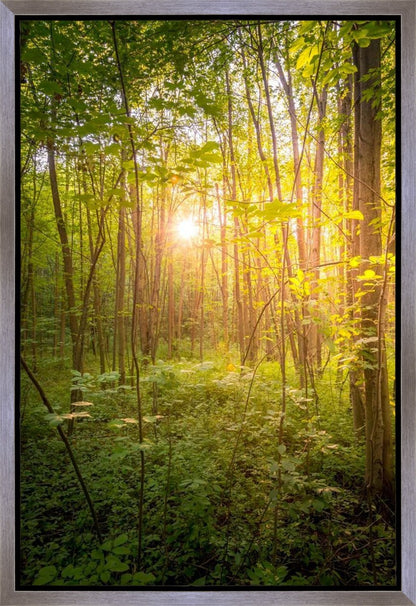 Sweet Hour of Prayer