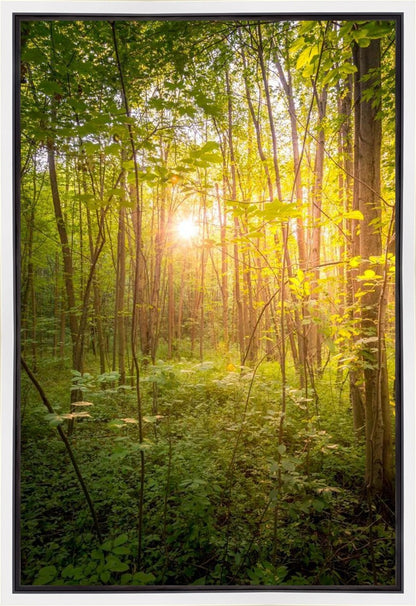 Sweet Hour of Prayer