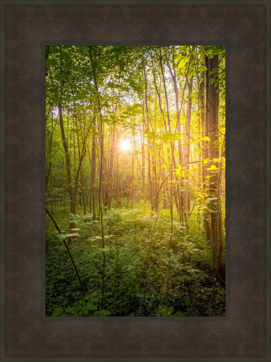 Sweet Hour of Prayer