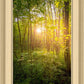 Sweet Hour of Prayer