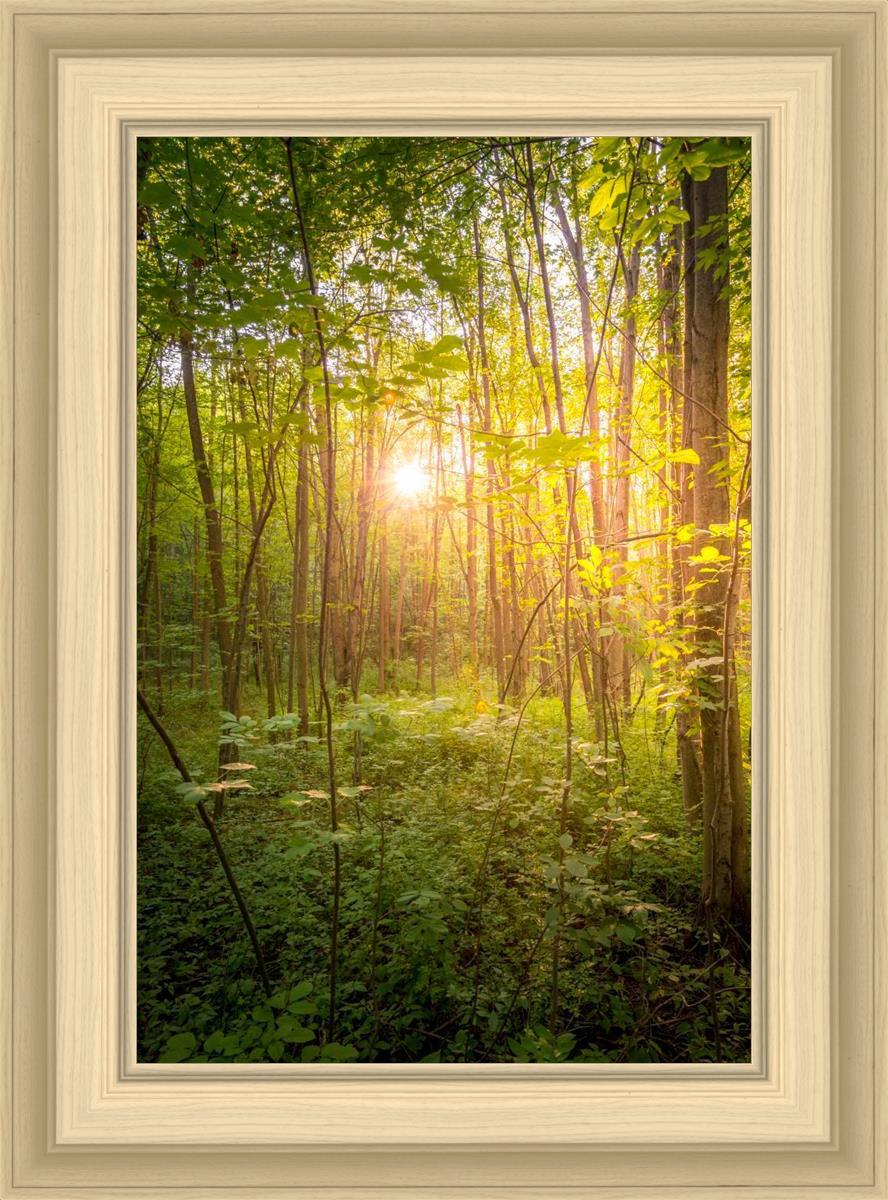Sweet Hour of Prayer