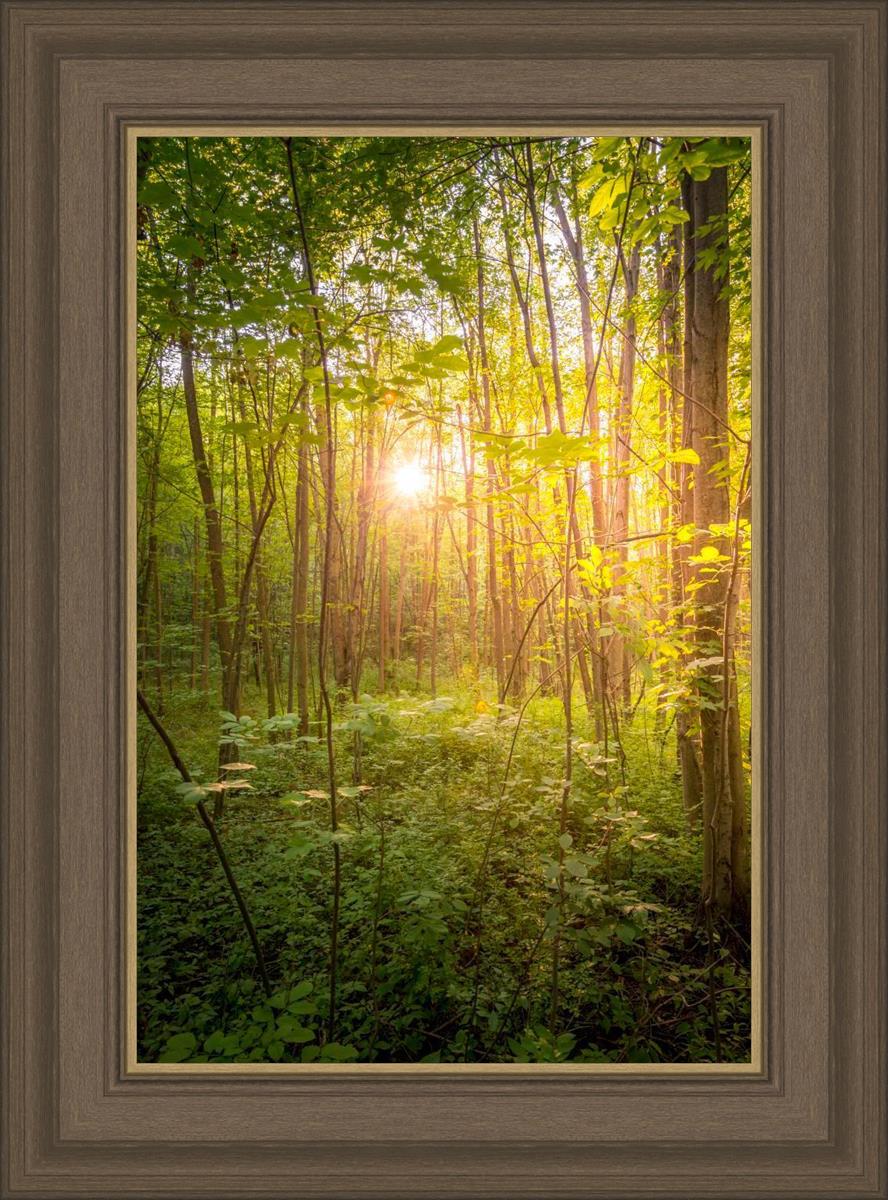 Sweet Hour of Prayer
