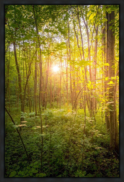 Sweet Hour of Prayer