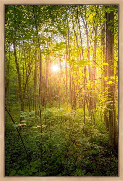 Sweet Hour of Prayer