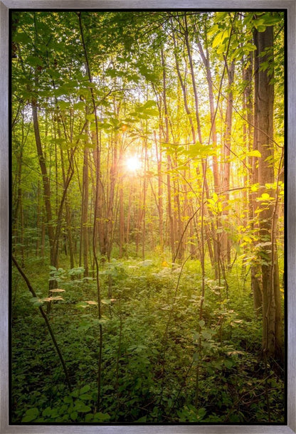 Sweet Hour of Prayer